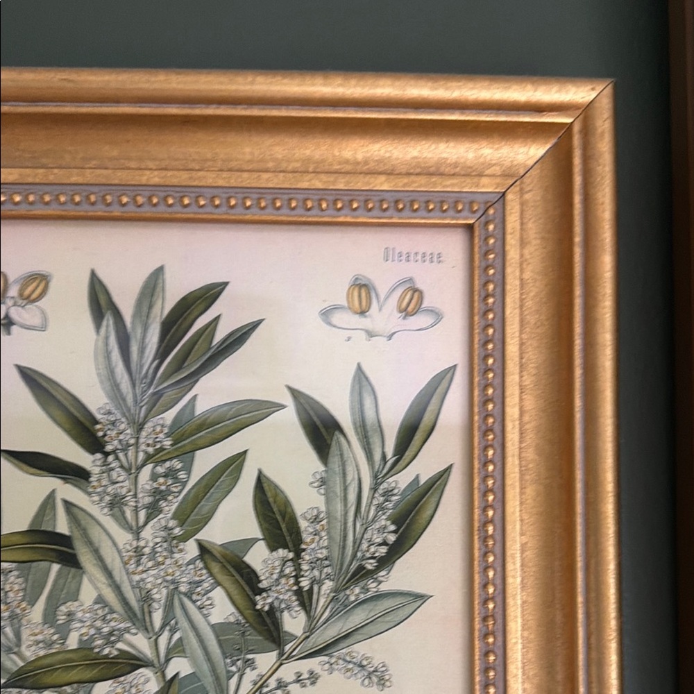 Gold Ornate Picture Frame Wall Art - Botanical Print - Picture 5 of 6
